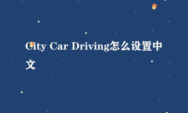 City Car Driving怎么设置中文