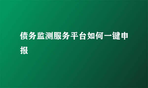 债务监测服务平台如何一键申报