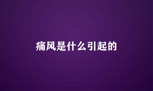 痛风是什么引起的
