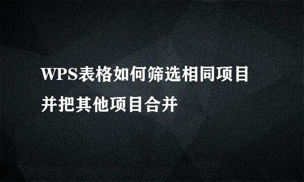 WPS表格如何筛选相同项目并把其他项目合并
