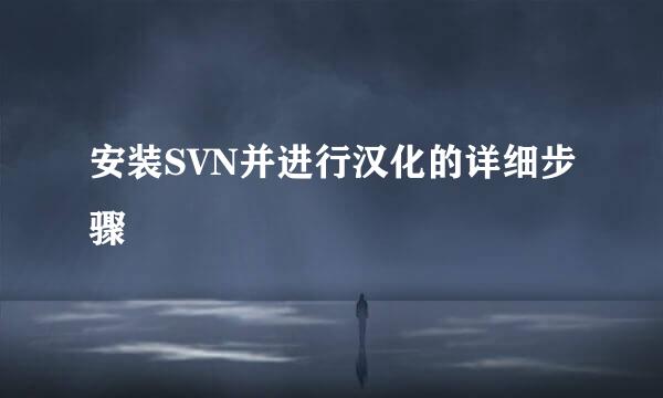 安装SVN并进行汉化的详细步骤