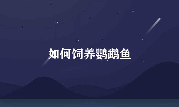 如何饲养鹦鹉鱼