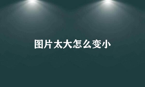 图片太大怎么变小