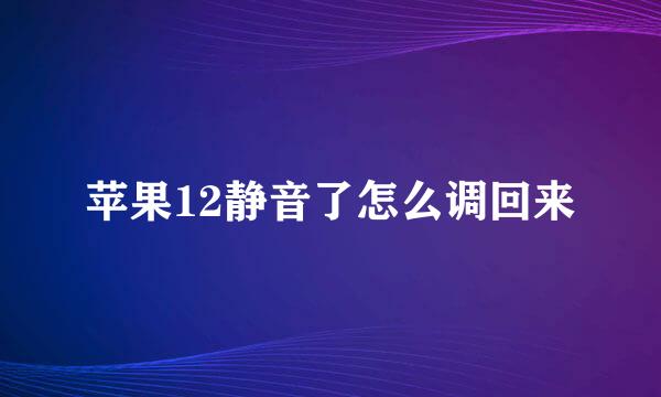 苹果12静音了怎么调回来