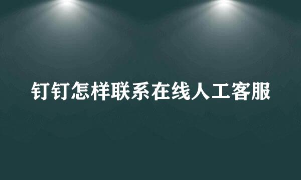 钉钉怎样联系在线人工客服