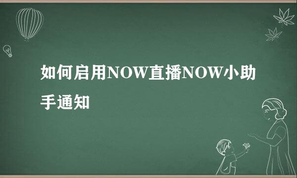 如何启用NOW直播NOW小助手通知