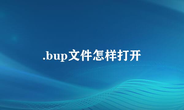 .bup文件怎样打开