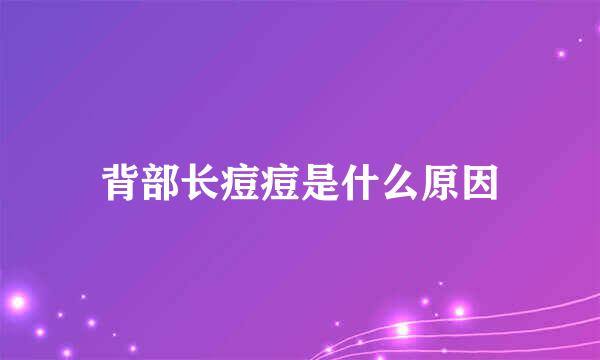 背部长痘痘是什么原因
