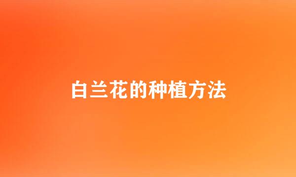 白兰花的种植方法