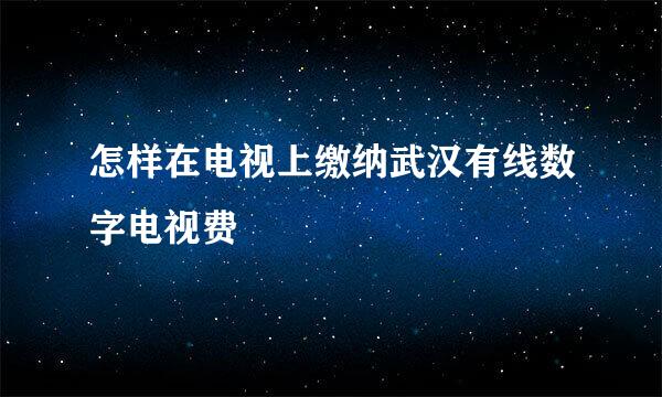 怎样在电视上缴纳武汉有线数字电视费