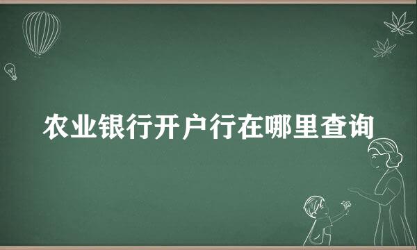 农业银行开户行在哪里查询