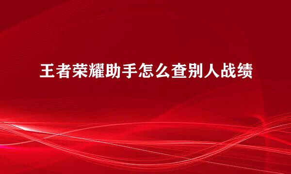 王者荣耀助手怎么查别人战绩