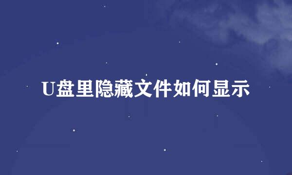 U盘里隐藏文件如何显示