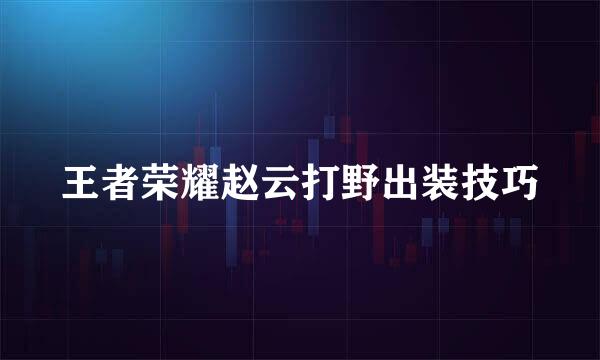 王者荣耀赵云打野出装技巧