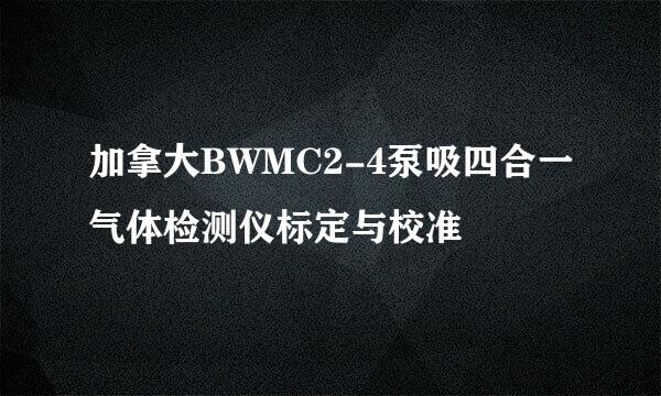 加拿大BWMC2-4泵吸四合一气体检测仪标定与校准