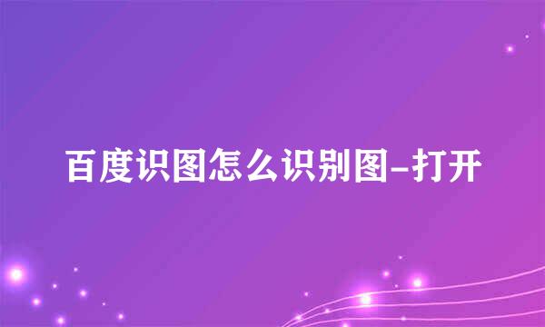 百度识图怎么识别图-打开