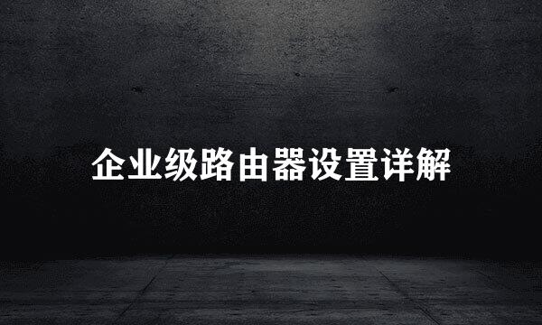企业级路由器设置详解