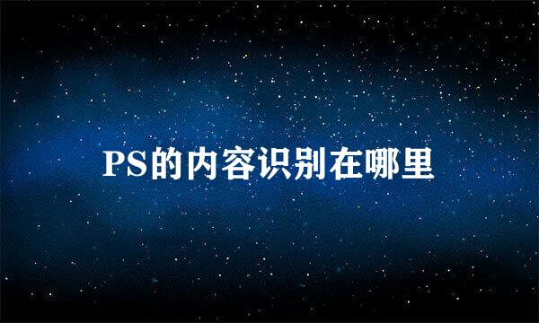 PS的内容识别在哪里