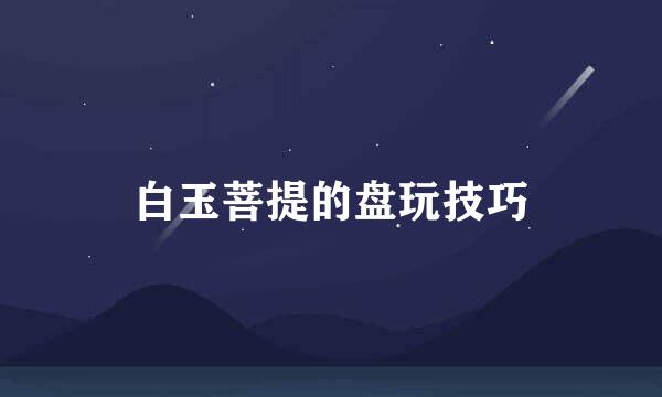 白玉菩提的盘玩技巧