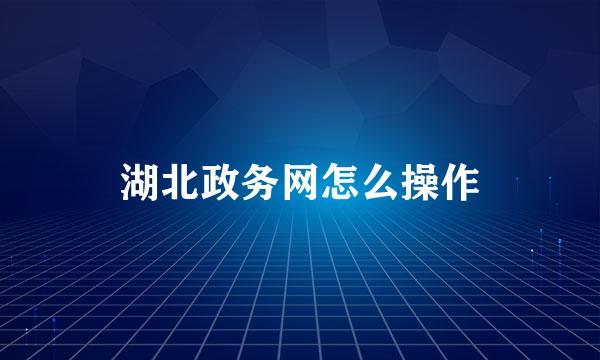 湖北政务网怎么操作