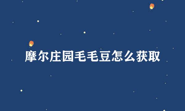 摩尔庄园毛毛豆怎么获取