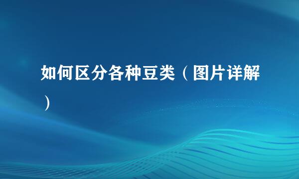 如何区分各种豆类（图片详解）