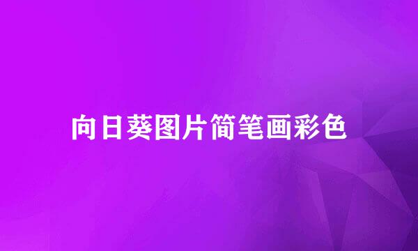 向日葵图片简笔画彩色