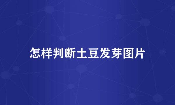 怎样判断土豆发芽图片