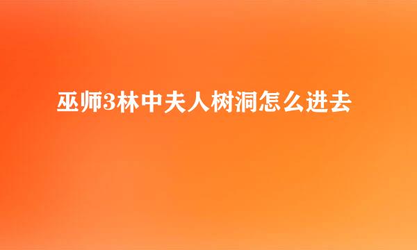 巫师3林中夫人树洞怎么进去