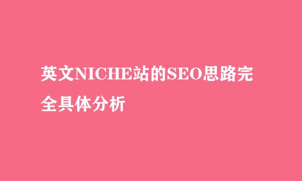 英文NICHE站的SEO思路完全具体分析