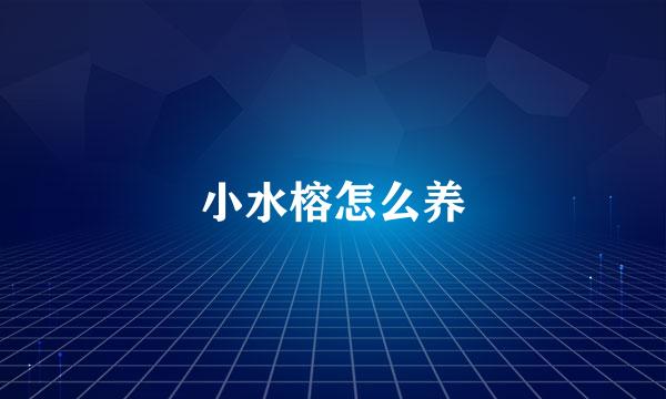 小水榕怎么养