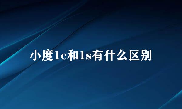 小度1c和1s有什么区别