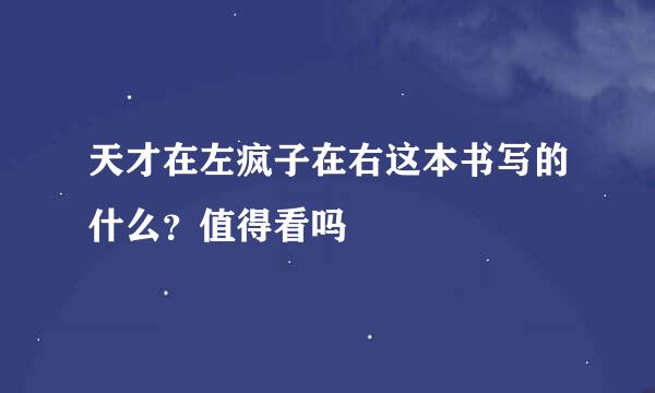 天才在左疯子在右这本书写的什么？值得看吗