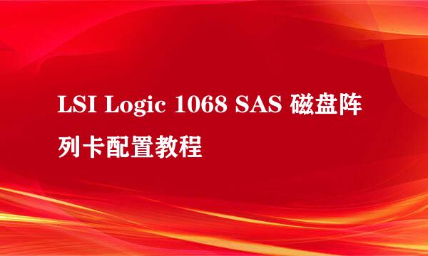 LSI Logic 1068 SAS 磁盘阵列卡配置教程