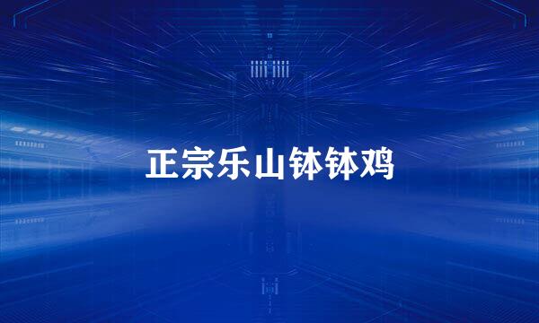 正宗乐山钵钵鸡