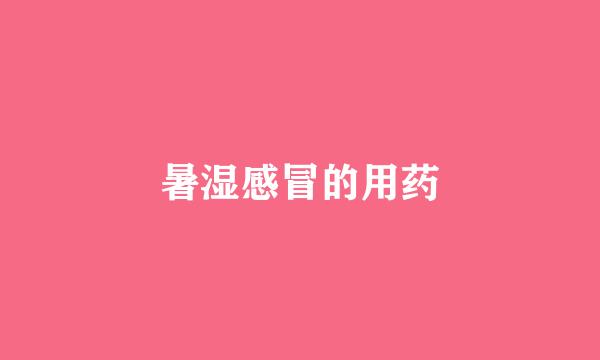 暑湿感冒的用药