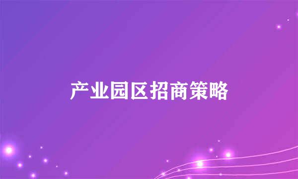 产业园区招商策略