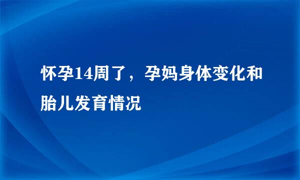 怀孕14周了，孕妈身体变化和胎儿发育情况