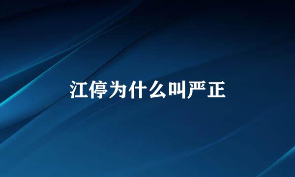 江停为什么叫严正