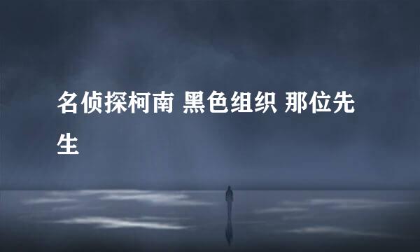 名侦探柯南 黑色组织 那位先生
