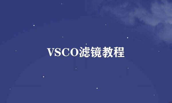 VSCO滤镜教程