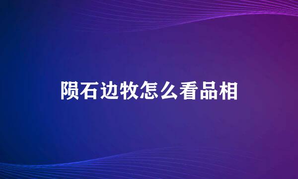 陨石边牧怎么看品相