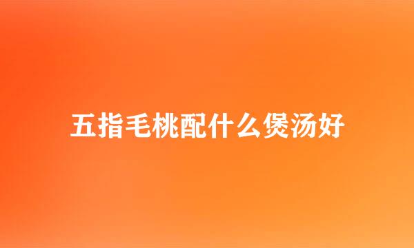 五指毛桃配什么煲汤好