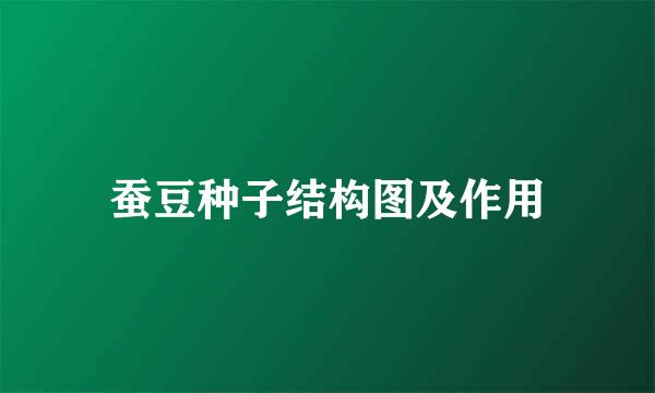 蚕豆种子结构图及作用