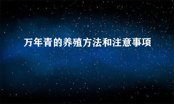 万年青的养殖方法和注意事项