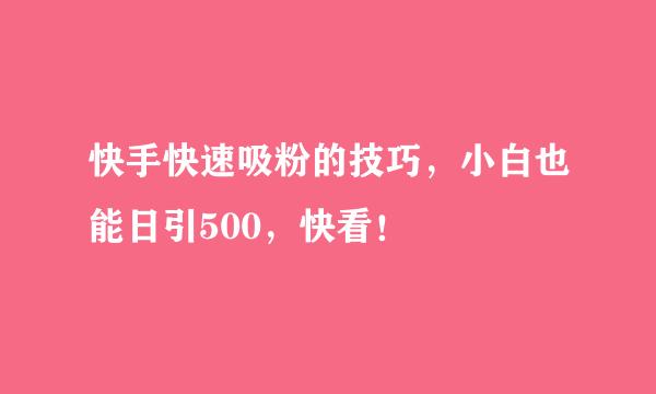 快手快速吸粉的技巧，小白也能日引500，快看！
