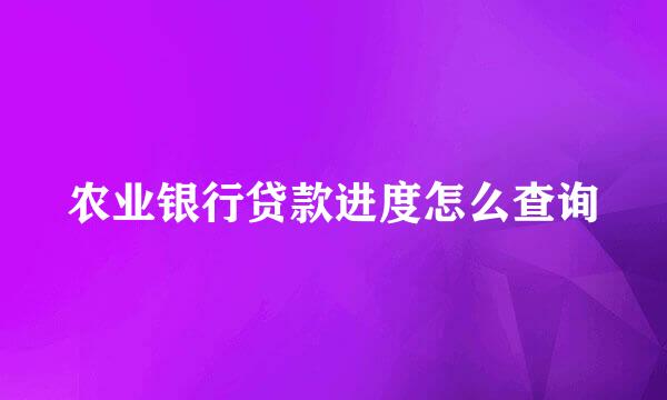农业银行贷款进度怎么查询
