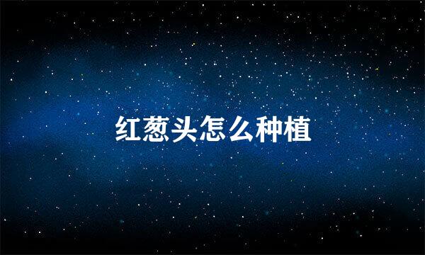 红葱头怎么种植