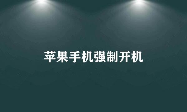 苹果手机强制开机