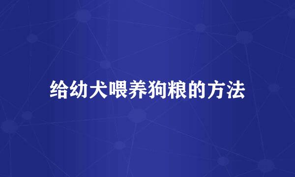 给幼犬喂养狗粮的方法